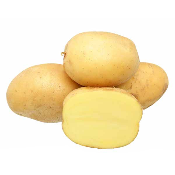 Đồ mới
